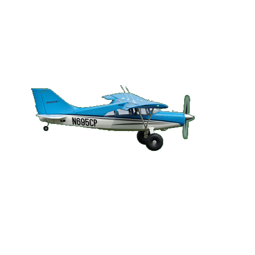 FMS Samolot Maule 1500mm PNP + Pływaki - FMS114PF