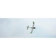 TOP RC Hobby Motor Glider T1400 1400MM PNP